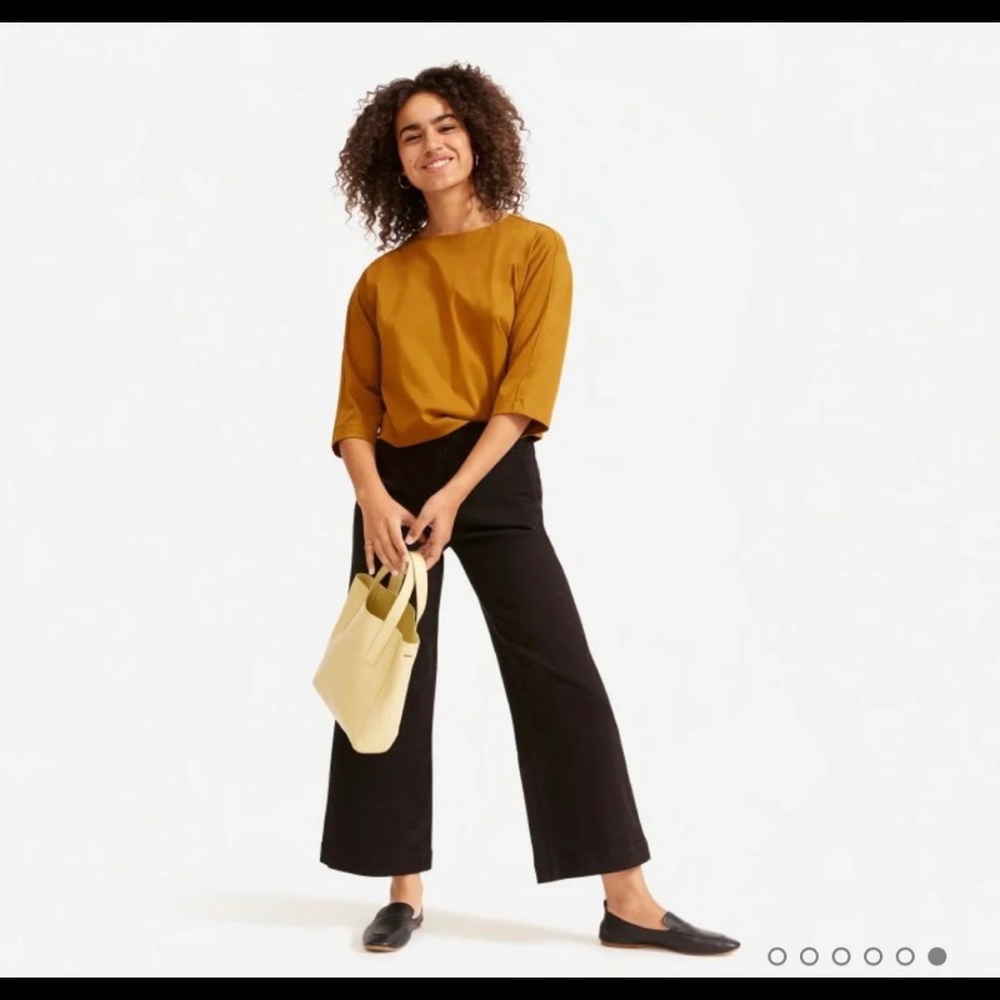 Everlane Wide Leg Crop Pant